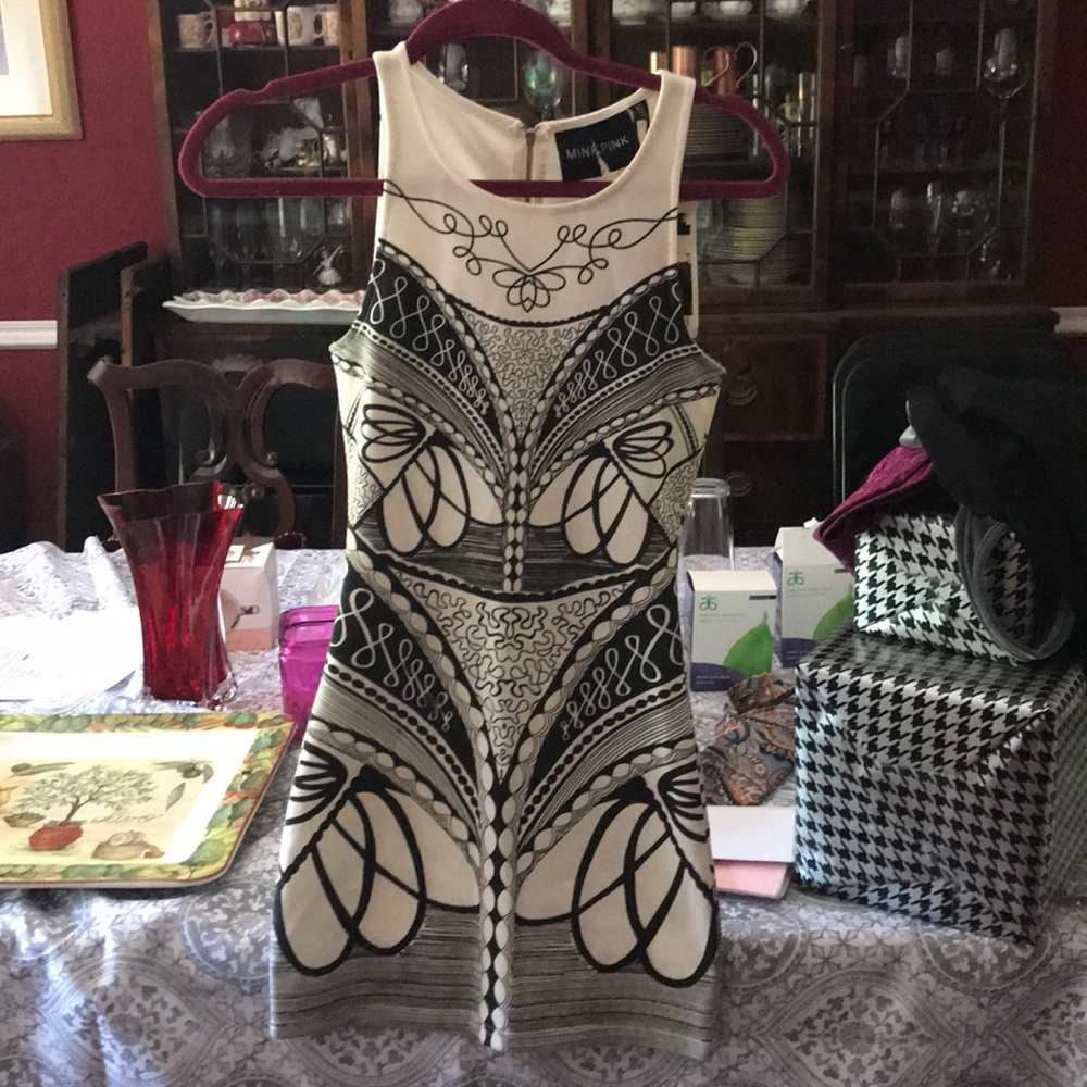 Mink Pink NWT Ring master mini dress